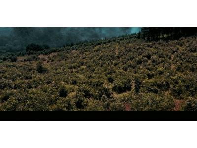 《金剛川》，這就是中國(guó)制造的速度！